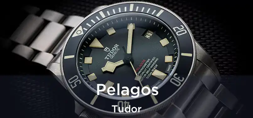  Pelagos Tudor