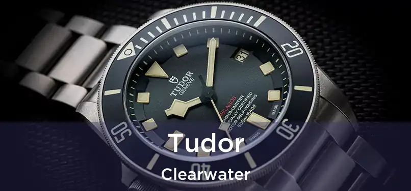  Tudor Clearwater